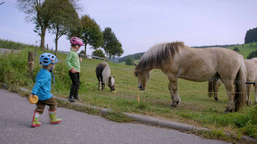 88-Die-Kinder-reiten-aus-Pferd-&-Pony-demenz-fuettern