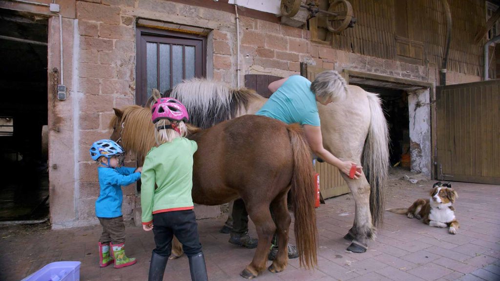 88-Die-Kinder-reiten-aus-Pferd-&-Pony-demenz-striegeln